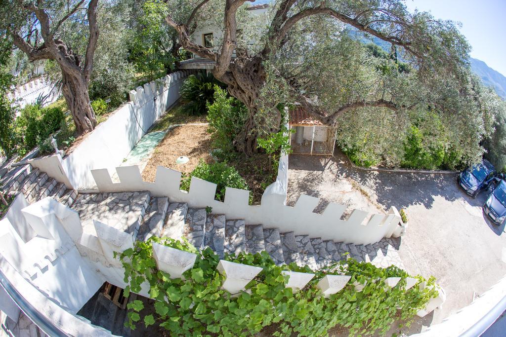 The Turtles Garden Villa Bečići Ngoại thất bức ảnh